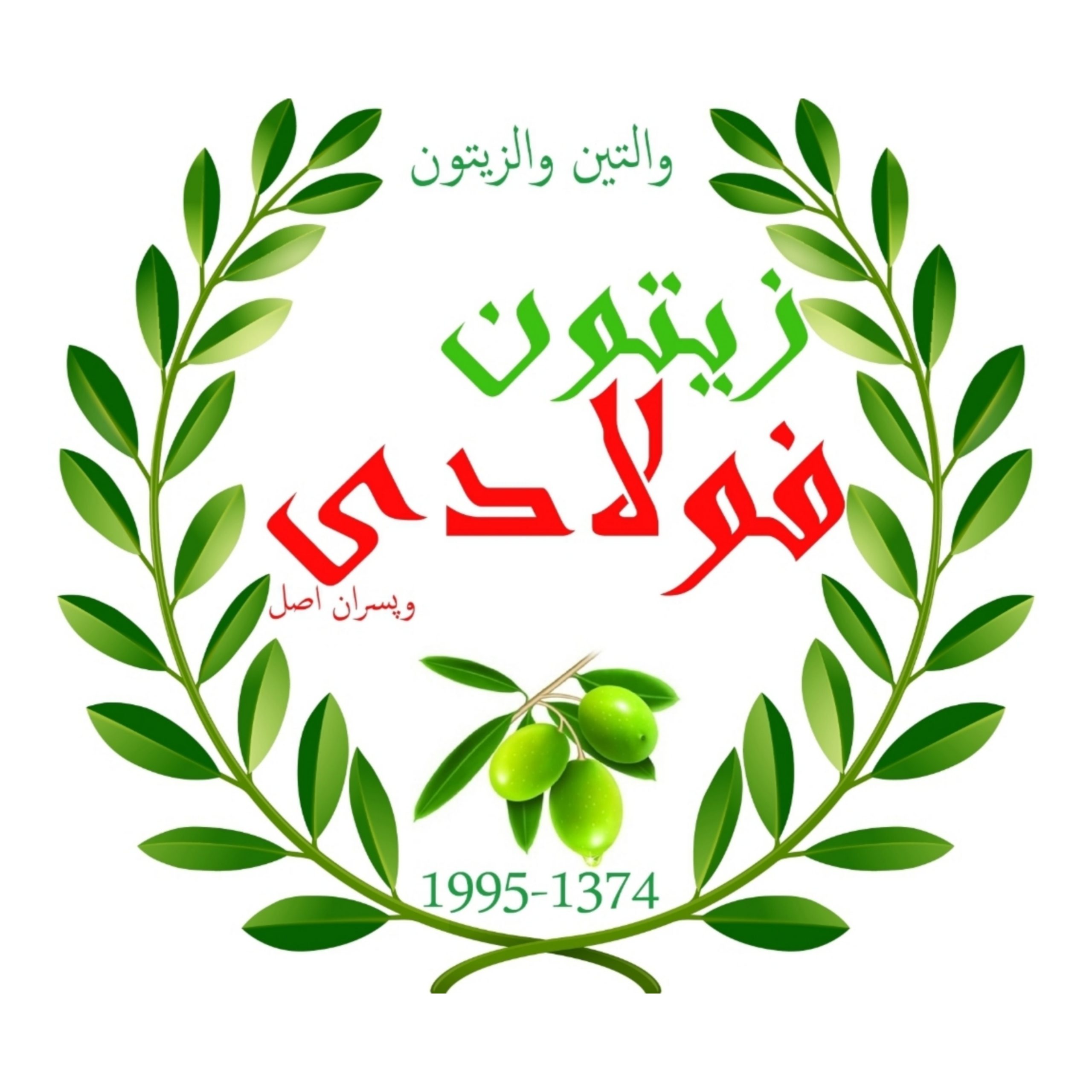 زیتون فولادی و پسران اصل logo